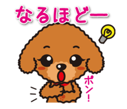 Cute Toy poodle day to day sticker #5472604
