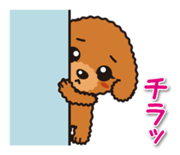 Cute Toy poodle day to day sticker #5472608
