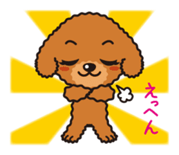 Cute Toy poodle day to day sticker #5472616
