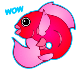Cool Goldfish chan (English) sticker #5474346