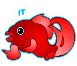Cool Goldfish chan (English) sticker #5474354