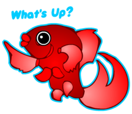 Cool Goldfish chan (English) sticker #5474357