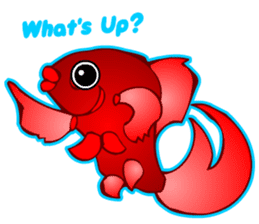 Cool Goldfish chan (English) sticker #5474357
