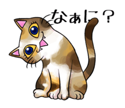 Cat Zanmai sticker #5475463