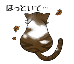 Cat Zanmai sticker #5475466