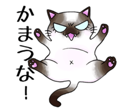 Cat Zanmai sticker #5475469