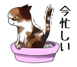 Cat Zanmai sticker #5475470