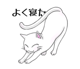 Cat Zanmai sticker #5475480