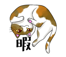 Cat Zanmai sticker #5475483