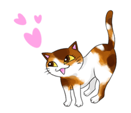 Cat Zanmai sticker #5475485