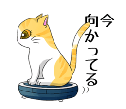 Cat Zanmai sticker #5475490