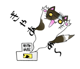 Cat Zanmai sticker #5475493