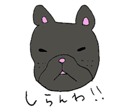 Bull dog and cat sticker #5477425