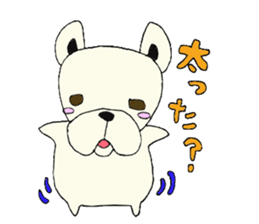 Bull dog and cat sticker #5477431