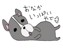 Bull dog and cat sticker #5477438