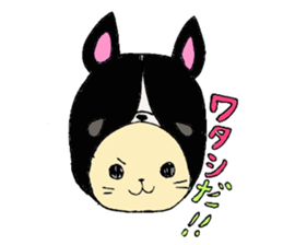 Bull dog and cat sticker #5477445