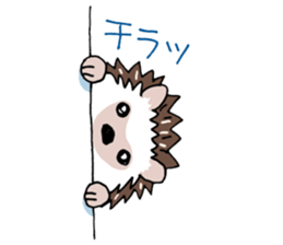 hedgehog_harry sticker #5479262