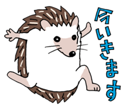 hedgehog_harry sticker #5479263