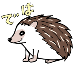 hedgehog_harry sticker #5479267