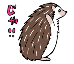 hedgehog_harry sticker #5479276
