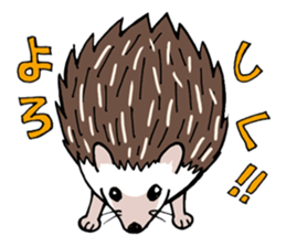 hedgehog_harry sticker #5479283