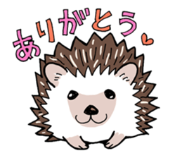 hedgehog_harry sticker #5479284