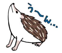 hedgehog_harry sticker #5479289