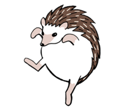 hedgehog_harry sticker #5479291