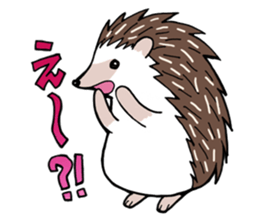 hedgehog_harry sticker #5479294