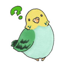 A Talkative Budgerigar sticker #5481669