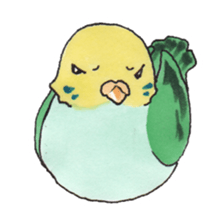 A Talkative Budgerigar sticker #5481683