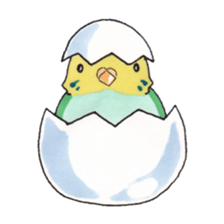 A Talkative Budgerigar sticker #5481694