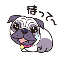 One day of love dog "Pug" sticker #5482503