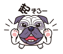 One day of love dog "Pug" sticker #5482514