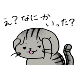 Cat that work hard to care sticker #5482871