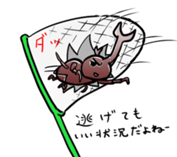 Happy beetle sticker #5484582