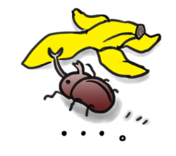 Happy beetle sticker #5484586