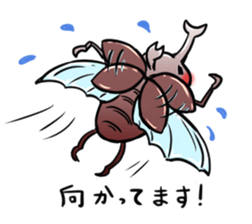 Happy beetle sticker #5484589