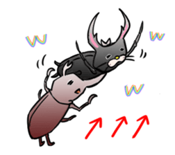 Happy beetle sticker #5484593