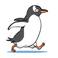 Calm penguin