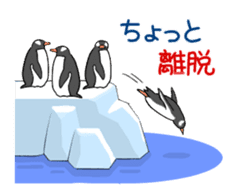 Calm penguin sticker #5488108