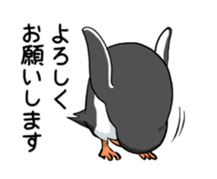 Calm penguin sticker #5488120