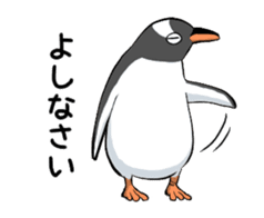 Calm penguin sticker #5488130