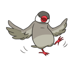 Java Sparrows Sticker2 sticker #5488783