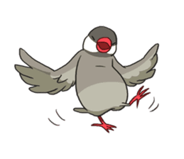 Java Sparrows Sticker2 sticker #5488783