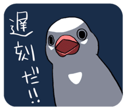 Java Sparrows Sticker2 sticker #5488784