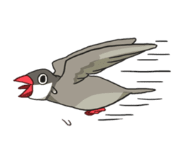 Java Sparrows Sticker2 sticker #5488785