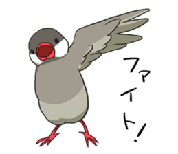 Java Sparrows Sticker2 sticker #5488789