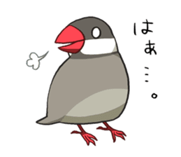 Java Sparrows Sticker2 sticker #5488800