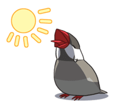 Java Sparrows Sticker2 sticker #5488812